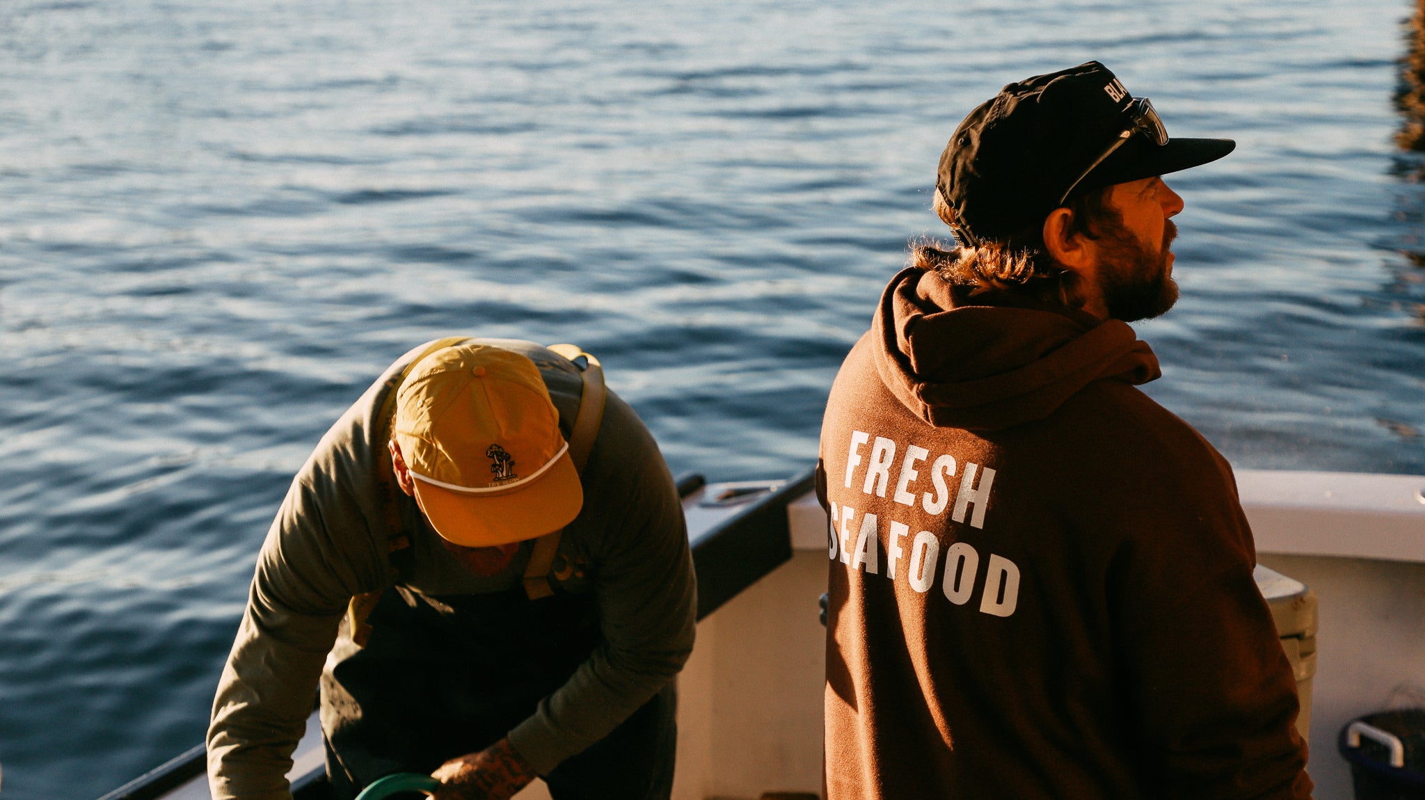 Chartering The Momentum