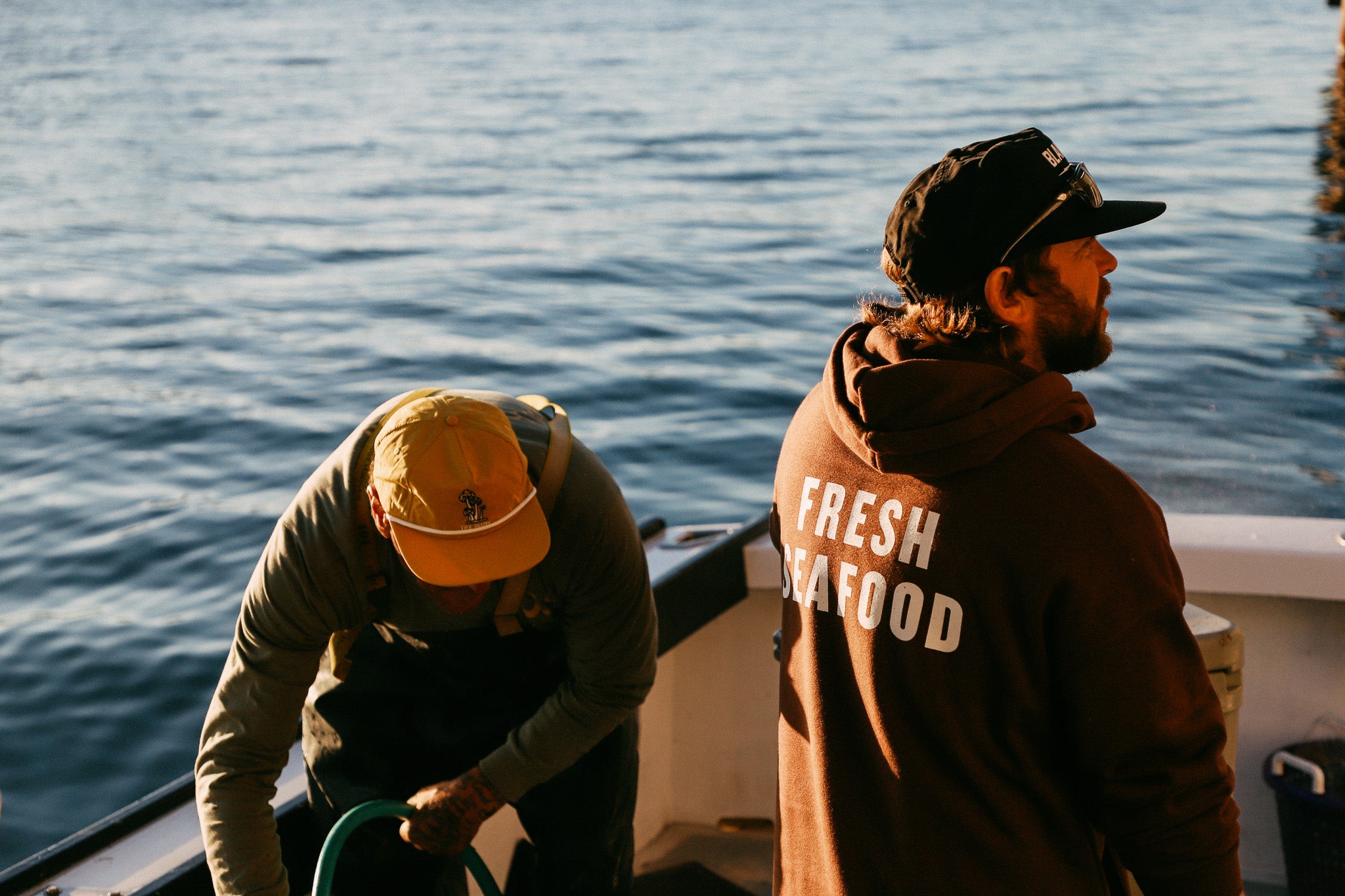 Chartering The Momentum